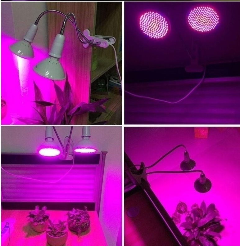 штучне освітлення для рослин