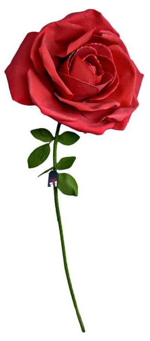 Величезна троянда XXL - Троянди в подарунок жінці
