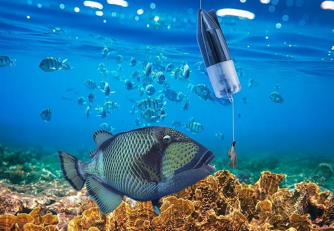 підводна рибна камера