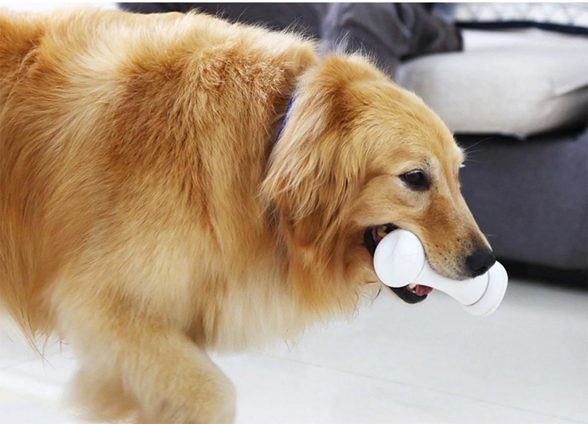 розумна кістяна іграшка для нечестивих кісток для собак